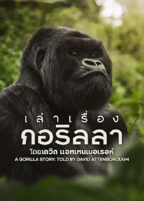 เล่าเรื่องกอริลลา โดยเดวิด แอทเทนเบอเรอห์ เซอร์เดวิด