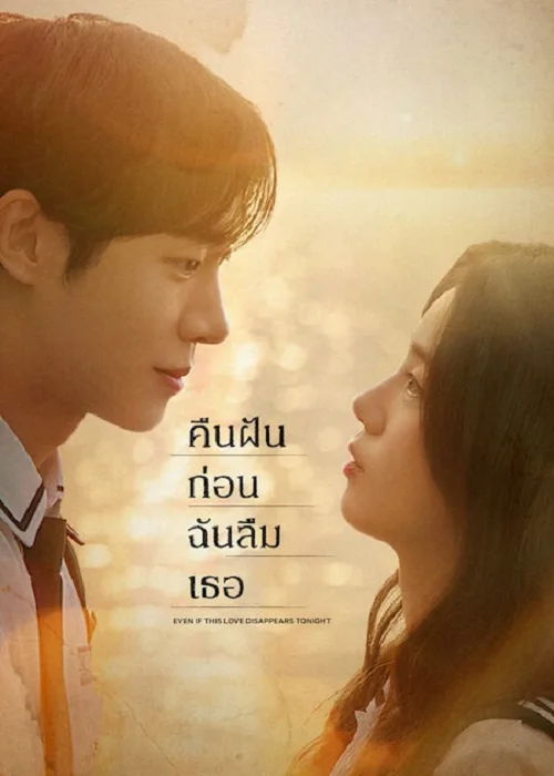 คืนฝันก่อนฉันลืมเธอ