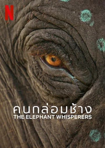 คนกล่อมช้าง